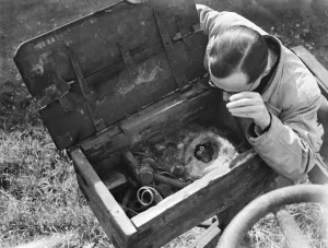 Tomtits nest in tool box in Lenham. 1936