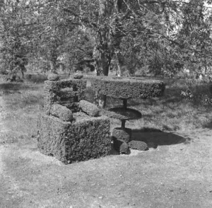 Hedge Prints: The topiary figures at Hever Castle. 1938