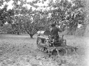 Machinery Prints: A tractor drawing a harrow on a field at the East Malling Research Station open day