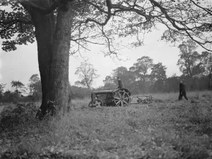 Machinery Prints: A tractor ploughing a cherry orchard in Charlton, London. 1939