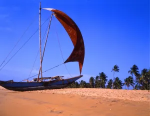 Paradise Prints: Traditional boat drawn up on the beach at Negombo