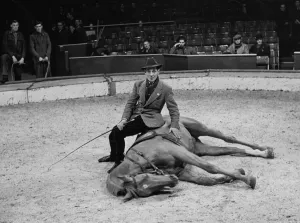 Trainer with his horse rehearsing before a show at the Olympia Circus, London, England