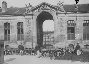 Training dogs to bark and bite. A new picture from the Chateau of Chantilly