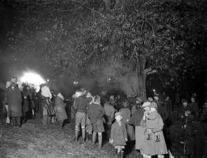 Flames Prints: Tree fire in Chislehurst, Kent. 5 November 1934