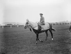 Jockey Prints: Trial gallop of Town Guard. Archibald riding Town Guard on exercises at Epsom