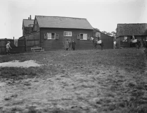 Trial gallop of Town Guard. The carefully guarded stable of Town Guard at Sherwood