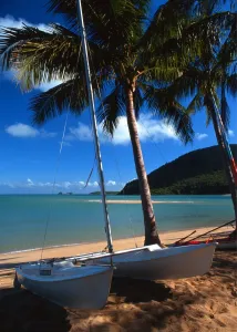 Tropical beauty. Australia. Brampton Island. Great Barrier Reef