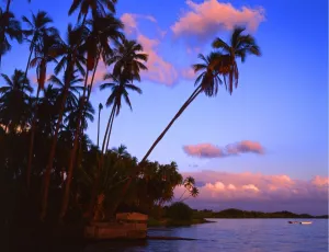 Tropical beauty. Hawaii group. Molokai Island