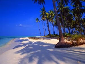 Islands Collection: Tropical beauty. Laccadives, or Lackshadweep islands. Island in the Bangaram atoll