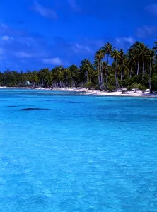 Tropical beauty. Polynesia. Rangiroa