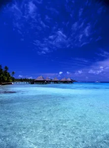 Tropical beauty. Polynesia. Rangiroa