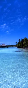 Tropical beauty. Polynesia. Rangiroa. [Panoramic shot]