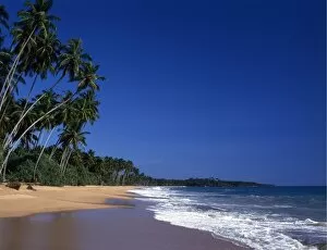 Tranquil Collection: Tropical beauty. Sri Lanka. Kuskoda beach