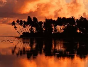 Tropics Collection: Tropical beauty. Tahiti group. Morea Island