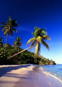 Caribbean Prints: Tropical beauty West Indies. Antigua. Galley Bay