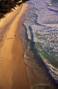 Tropical beauty. West Indies. Barbados. Crane Beach