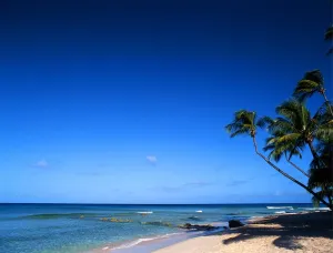Framed Print : Tropical beauty. West Indies. Tobego Framed Print : Tropical beauty. West Indies. Tobego