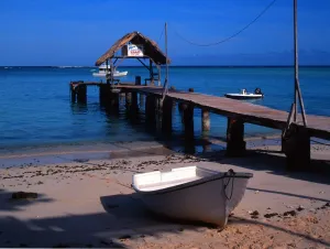 Tropical beauty. West Indies. Tobego. Pigeon Point