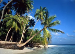TROPICAL ISLANDS Beach at Little Bandos, Maldives, Indian Ocean