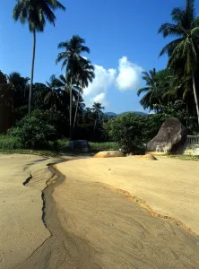 TROPICAL ISLANDS Beach on Penang island, Malaysia