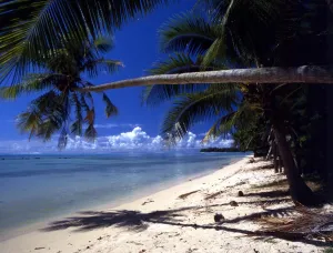 TROPICAL ISLANDS French Polynesea. beach scene on Morea, off Tahiti