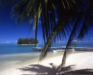 TROPICAL ISLANDS French Polynesia. Beach scene on Morea, off Tahiti