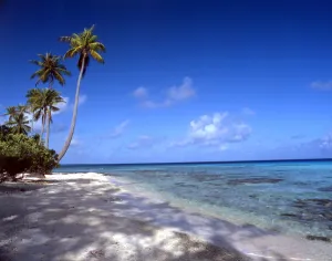 TROPICAL ISLANDS French Polynesia. Beach at Rangiroa