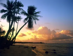 TROPICAL ISLANDS French Polynesia. Beach at Rangiroa