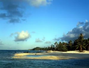 Palm Prints: TROPICAL ISLANDS French Polynesia Palm trees and beach - group of small islands