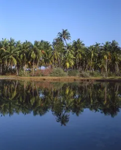 TROPICAL ISLANDS Laccadives. Bangaram island, salt water lake. The Laccadive group