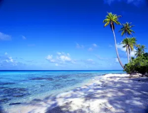 Tropical Islands. Maldives. Bandos