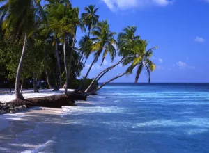 Paradise Prints: Tropical Islands - Maldives - Little Bandos with No Human Figure