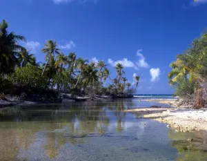 TROPICAL ISLANDS Palm trees and beach - group of small islands at Avearami. French