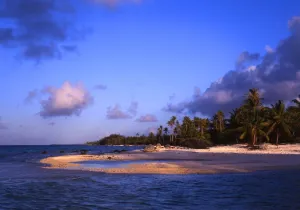 Tropical Islands - Polynesia Islet in Rangiroa Atoll