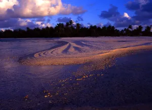 Tropical Islands - Polynesia - Islet on Rangiroa Atoll