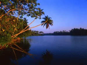 Paradise Prints: Tropical islands. Sri Lanka. Koskoda