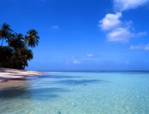 Tropical Islands. West Indies. Tobago. West Coast Beach
