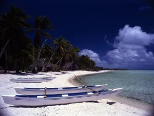 Tropocal Islands
