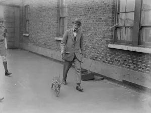 The Tutankhamen cat arrives in London