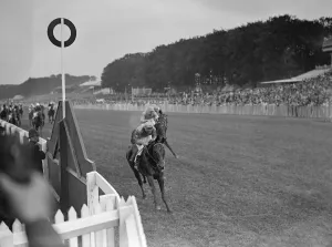 Horses Prints: An unusual Three Head finish : Epigram winning the Goodwood Stakes from Signature