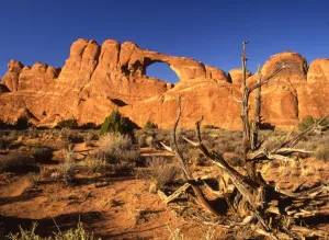 Landmark Prints: USA - Arches in National Park, Utah, Arizona - ?TopFoto / CW
