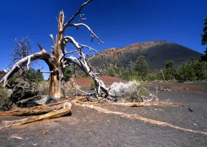 USA Arizona Sunset Crater