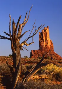 USA - Monument Valley - Utah, Arizona?TopFoto / CW