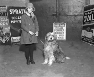 Water Prints: V. C. Dogs at Cruft s. Prince of East Grinstead West Sussex - saved the life of