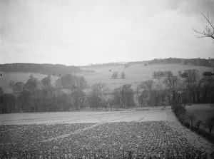 Flat Cap Prints: The view of the fields at Preston hill farm estate. 3 February 1938