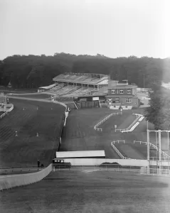 A view over Goodwood race course. 27 July 1929