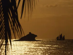 View of the Hawskbill Rock, through palm trees, with boat: Antigua