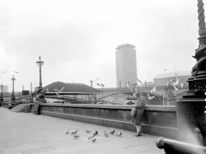 Pigeons Prints: A view of the new Vickers building at Millbank, London SW. March 23rd 1962