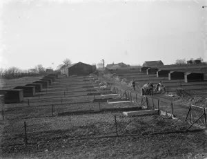 Farmer Prints: A view of the pigs breeding houses at Tripes Farm, Orpington, Kent. 1936