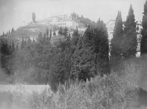 Trees Prints: The Villa Medici near Florence Italy 27 February 1922